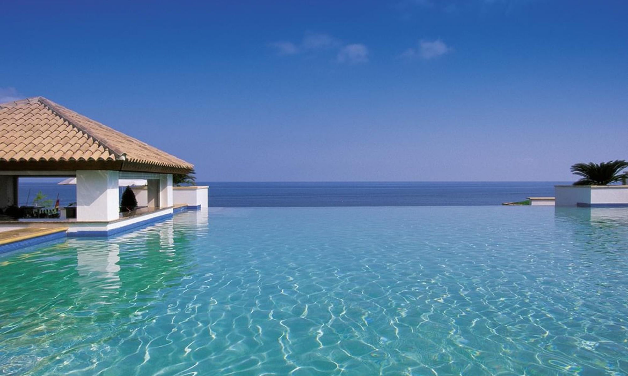 0001_Anassa_20160901