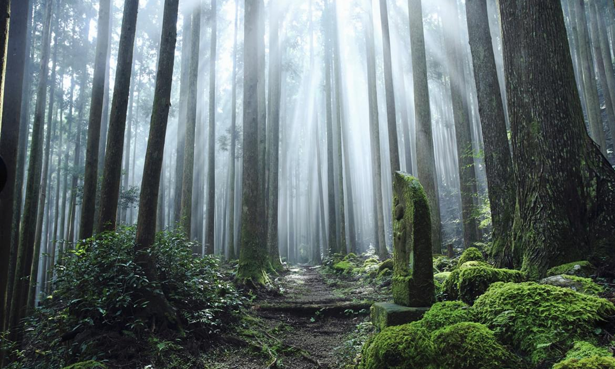 Amanemu – Kumano Kodo, Mie Prefecture, Honshu, Japan