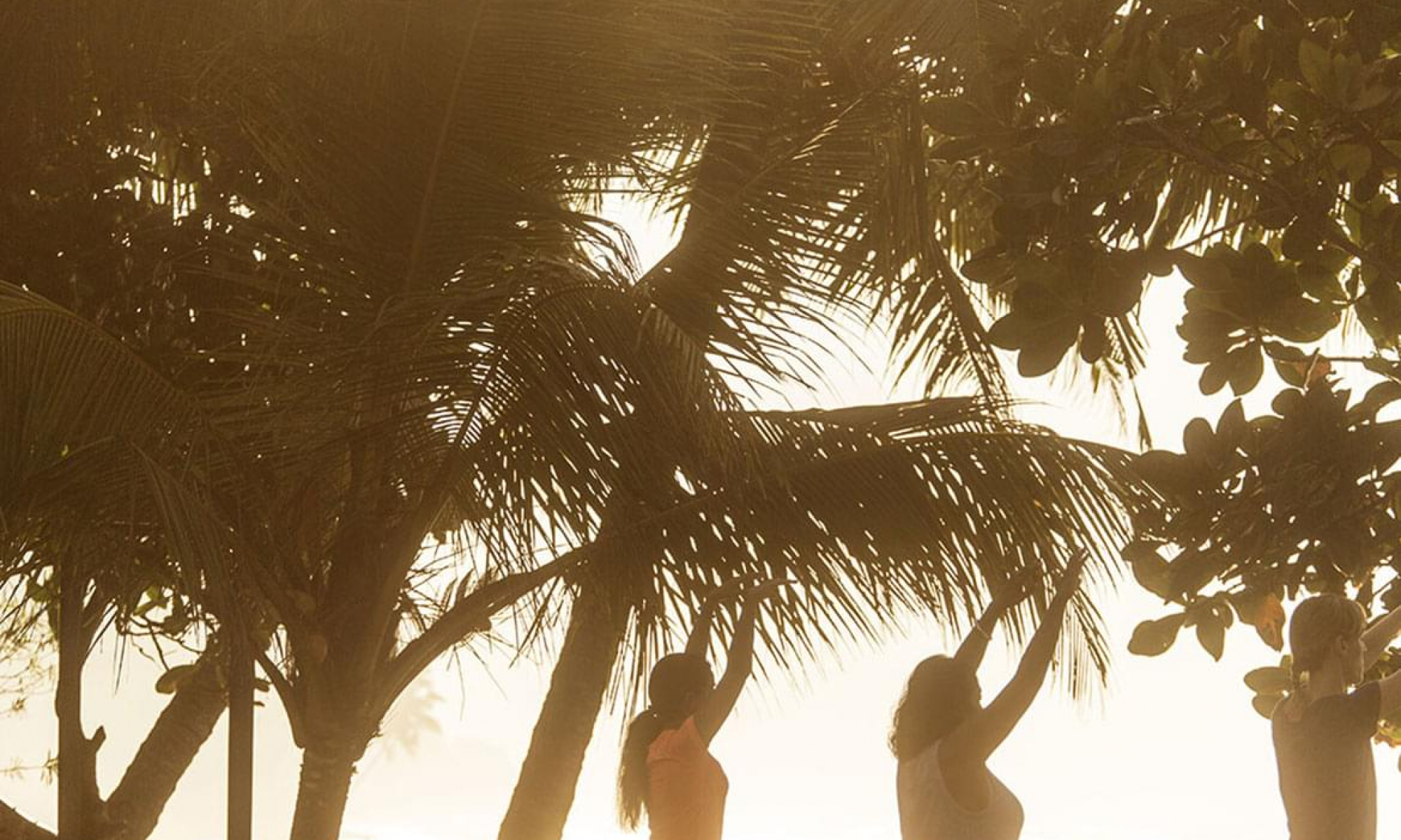 0612_OwlandPussycat_20160221