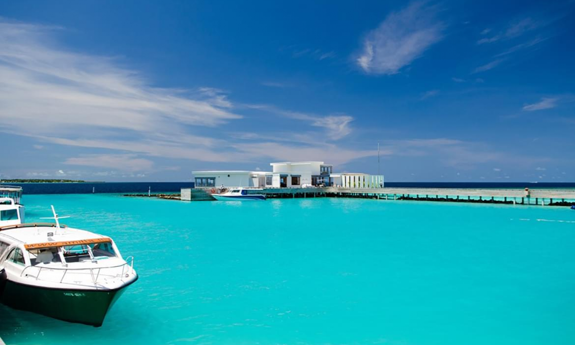 1005_AmillaFushi_20161004