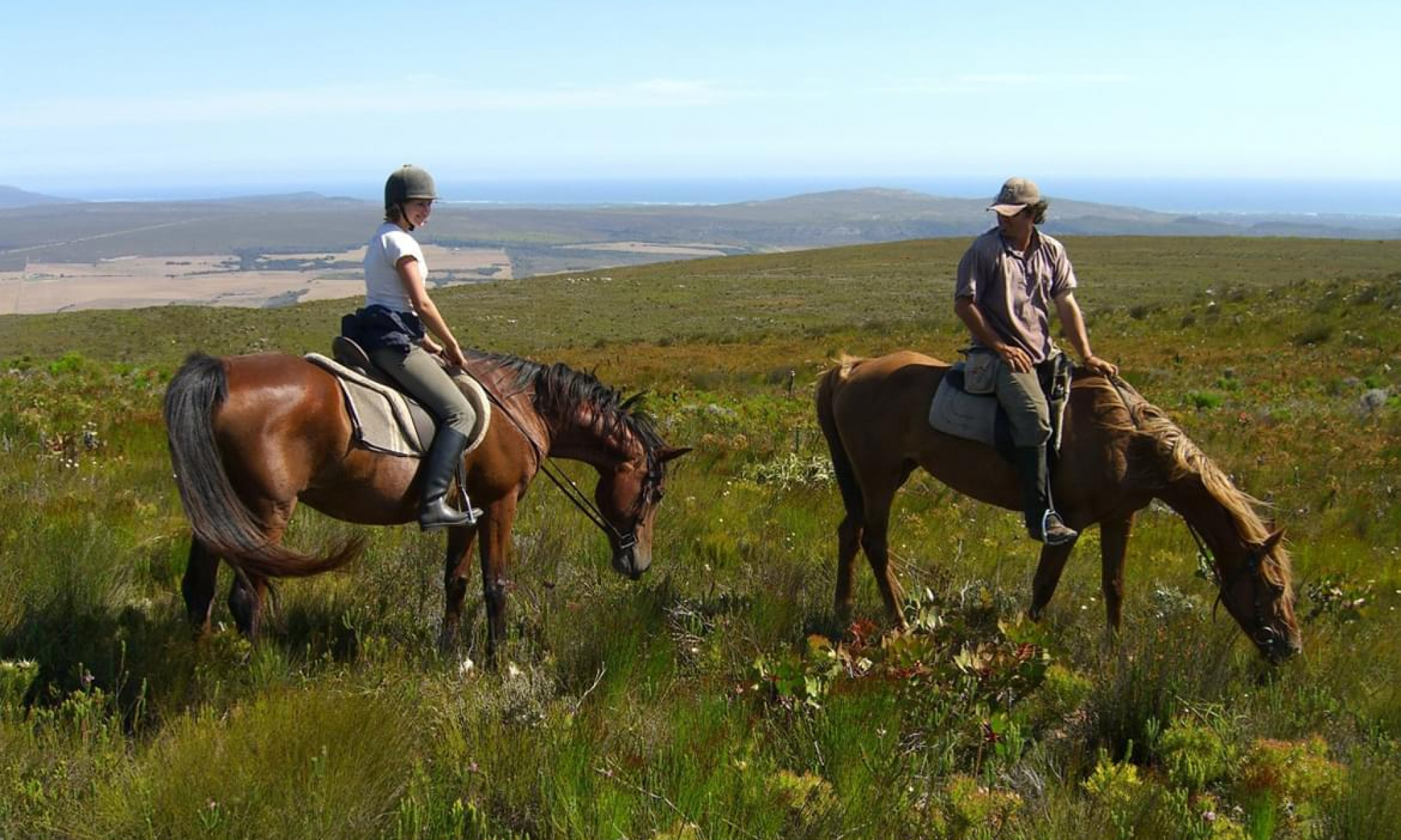 1541_BIRKENHEADHOUSE_20061220