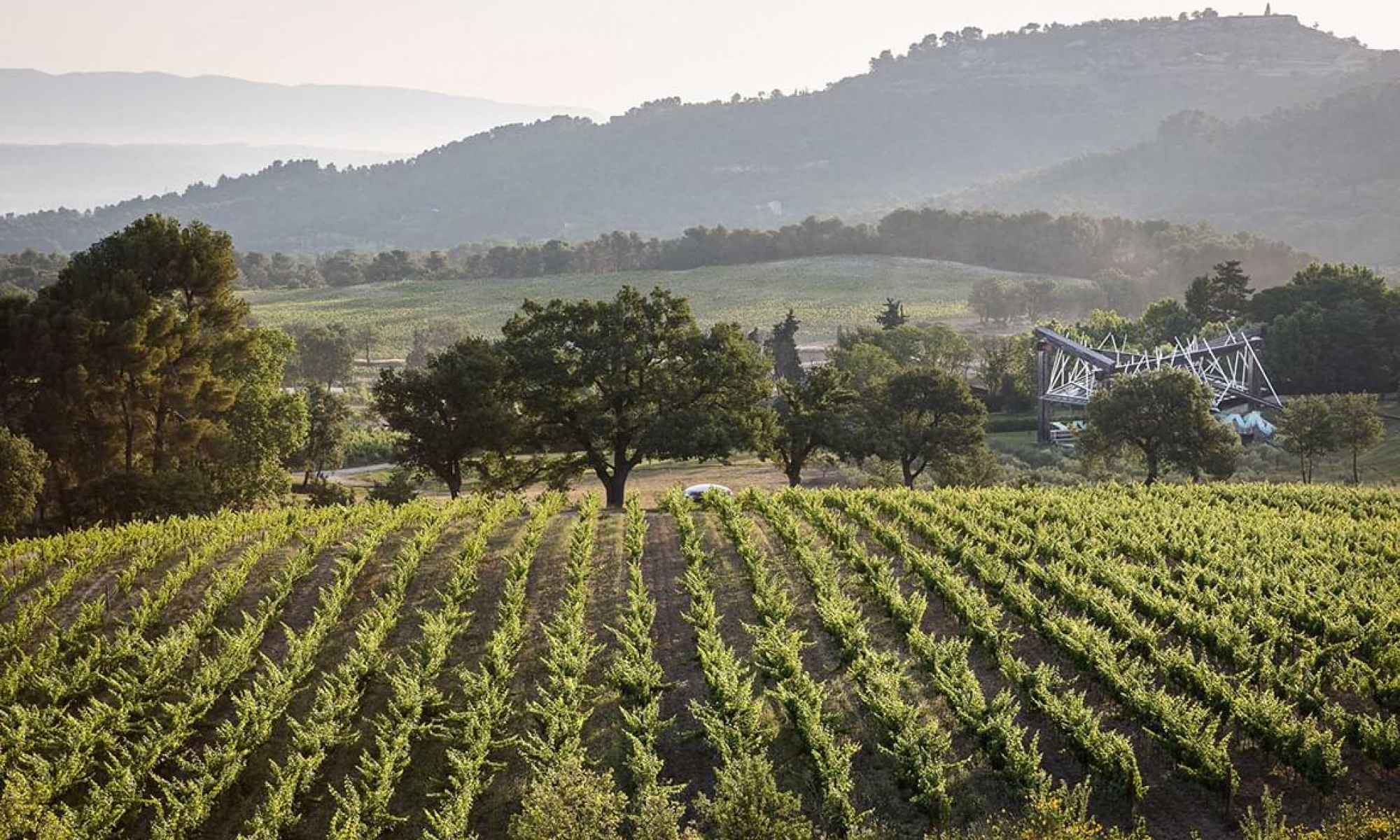 BerkeleyTravel-VillaLaCoste_0515