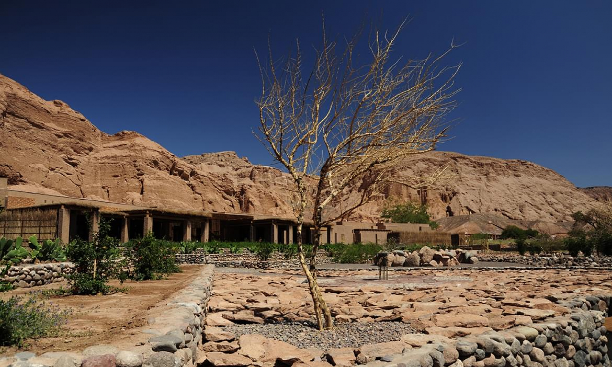 Alto_Atacama_Desert_Lodge_&_Spa_20090313_0460