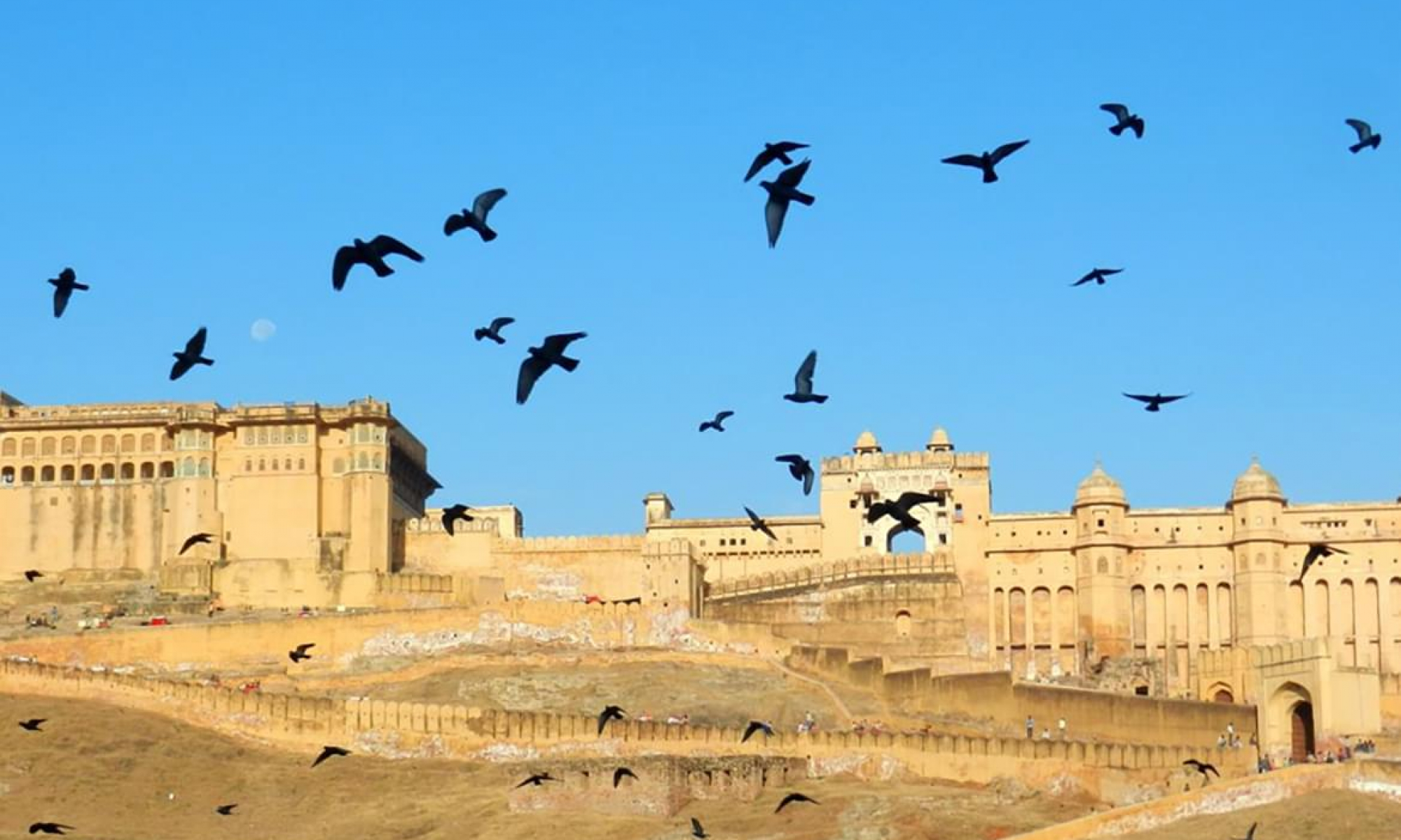 Amanbagh_20111113_0745