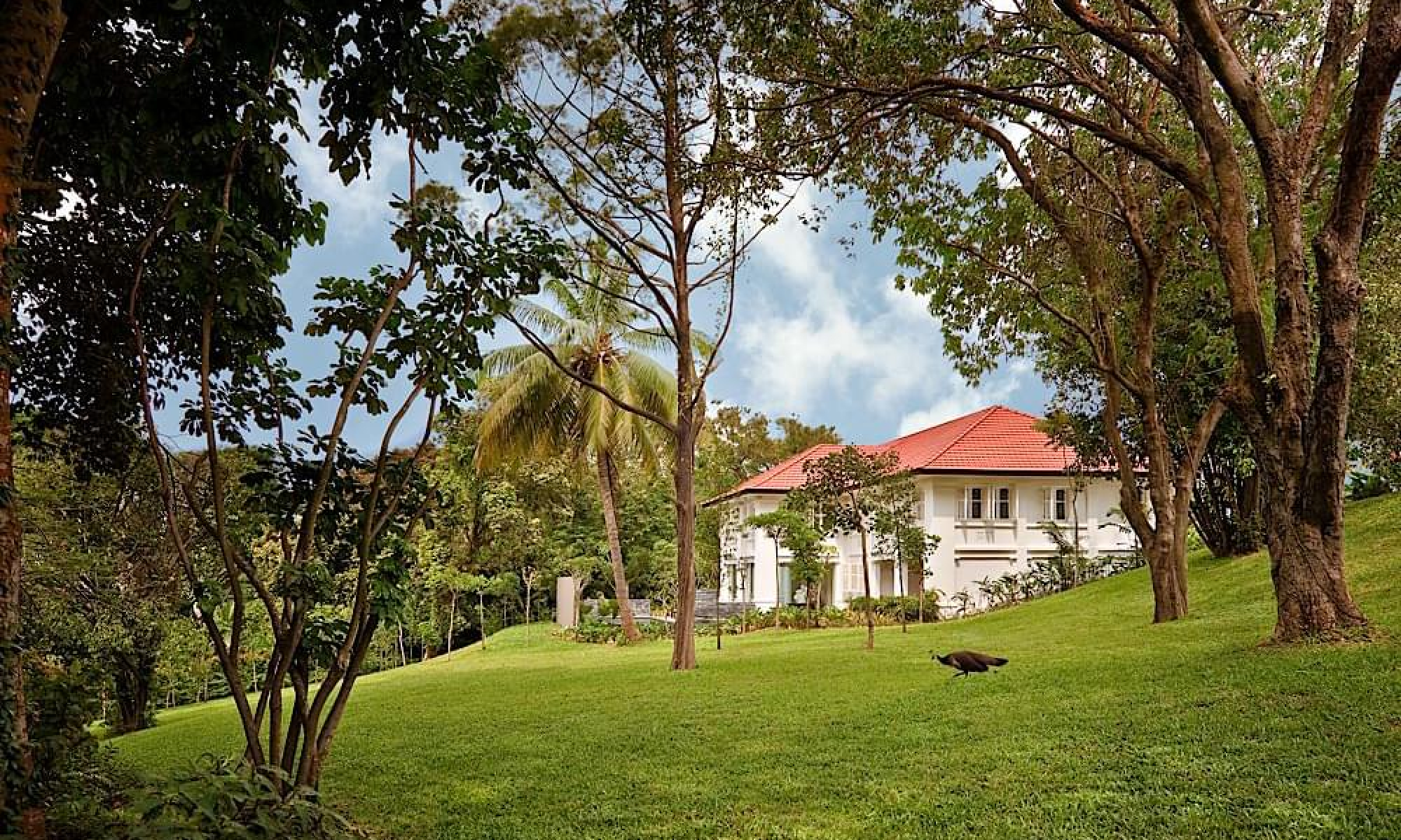 Capella_20150423_0227