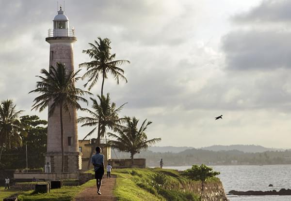 Owl and the Pussycat