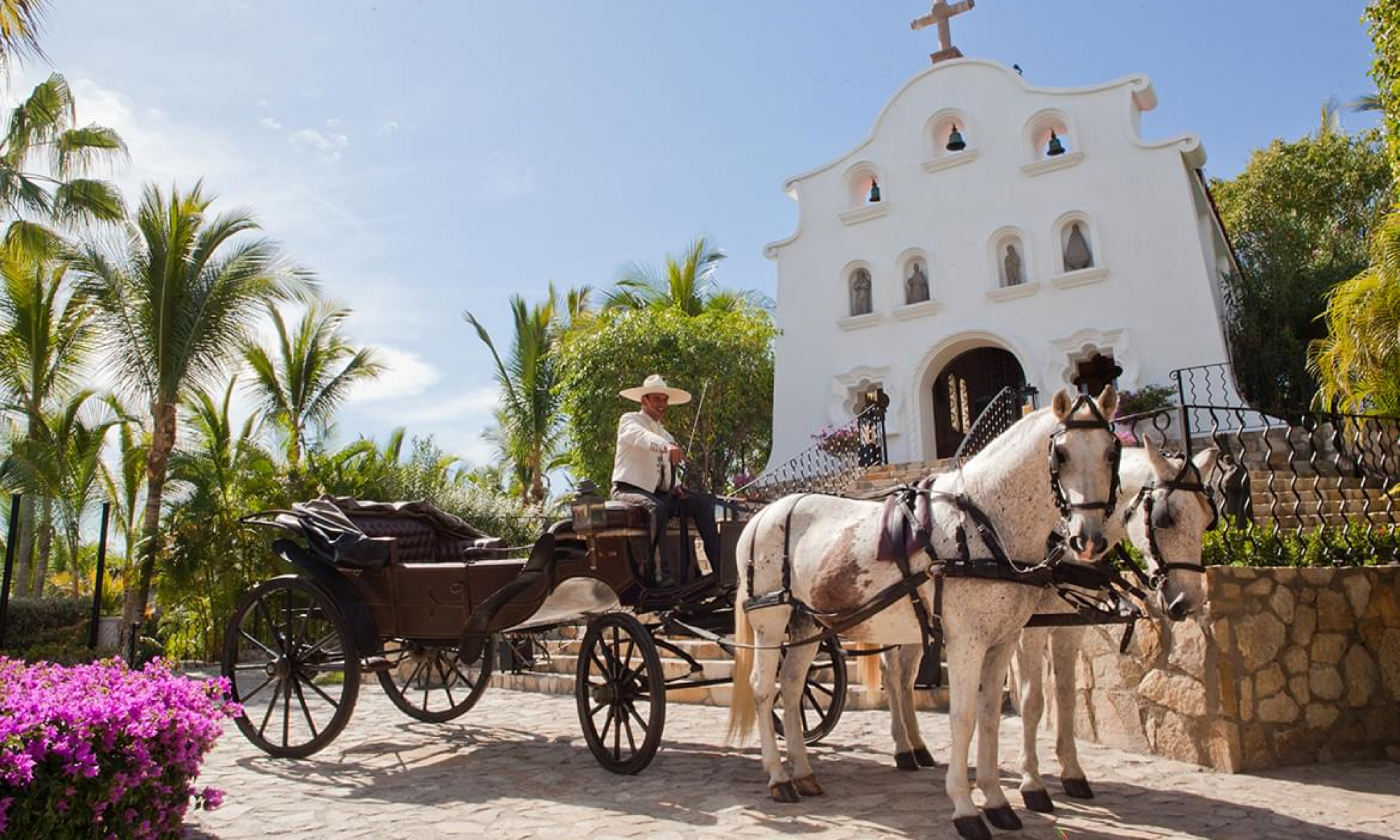 Palmilla_20111213_0149