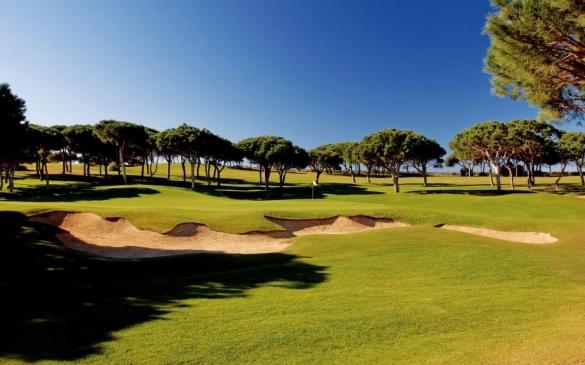 pine cliffs golf course